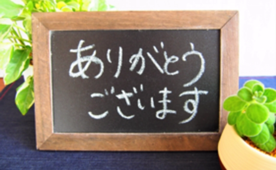 プチ支援コース