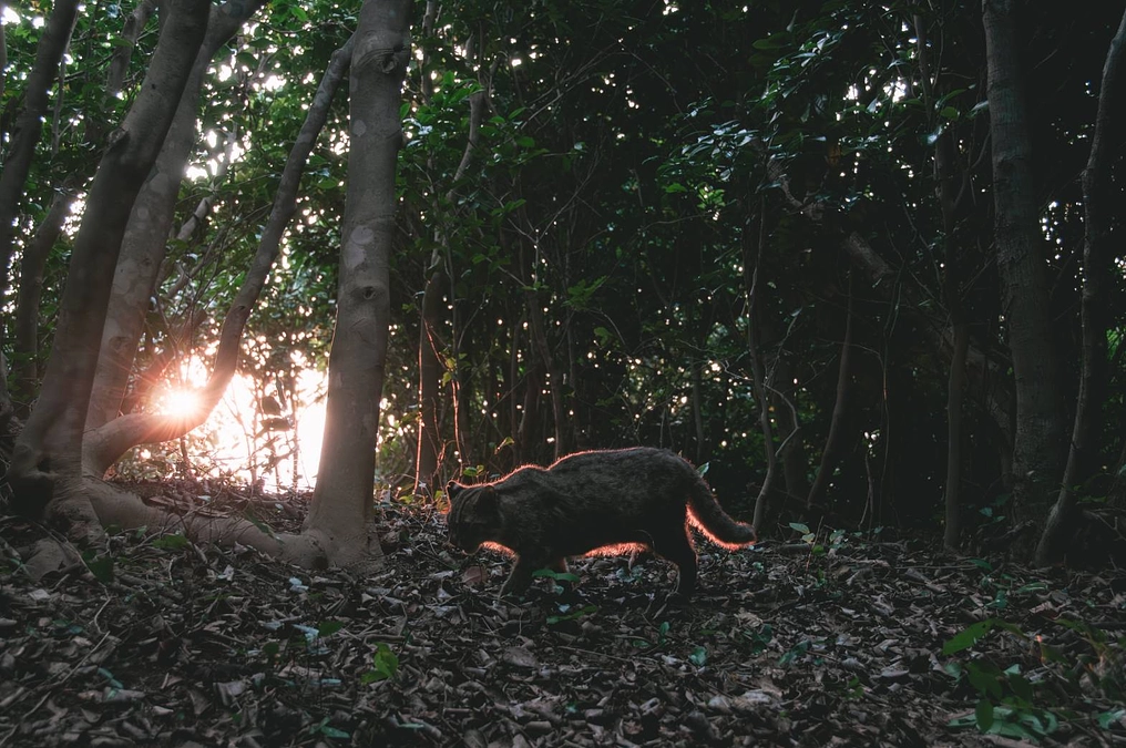 やべっちリポート・山村さんのフォトブック