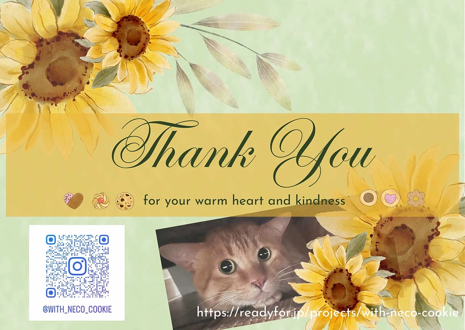 リターンのお礼のメールを送付いたしました