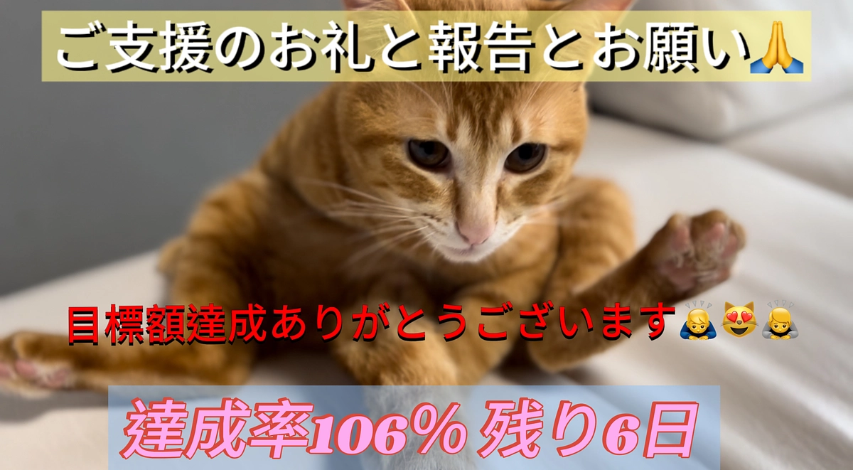 ご支援のお礼と報告とお願い（3/22）