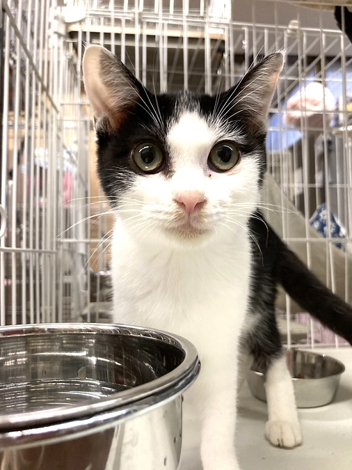 10月　活動報告