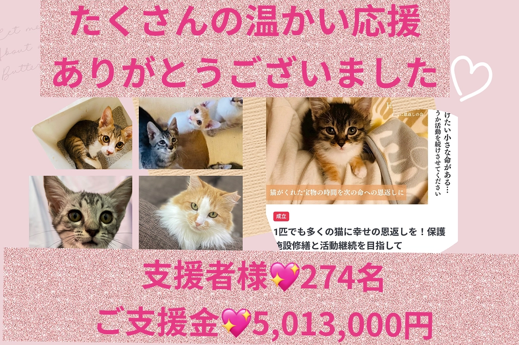 プロジェクト達成のお礼とご報告