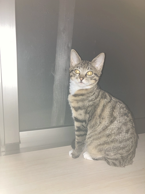 4/15の診察のご報告です。