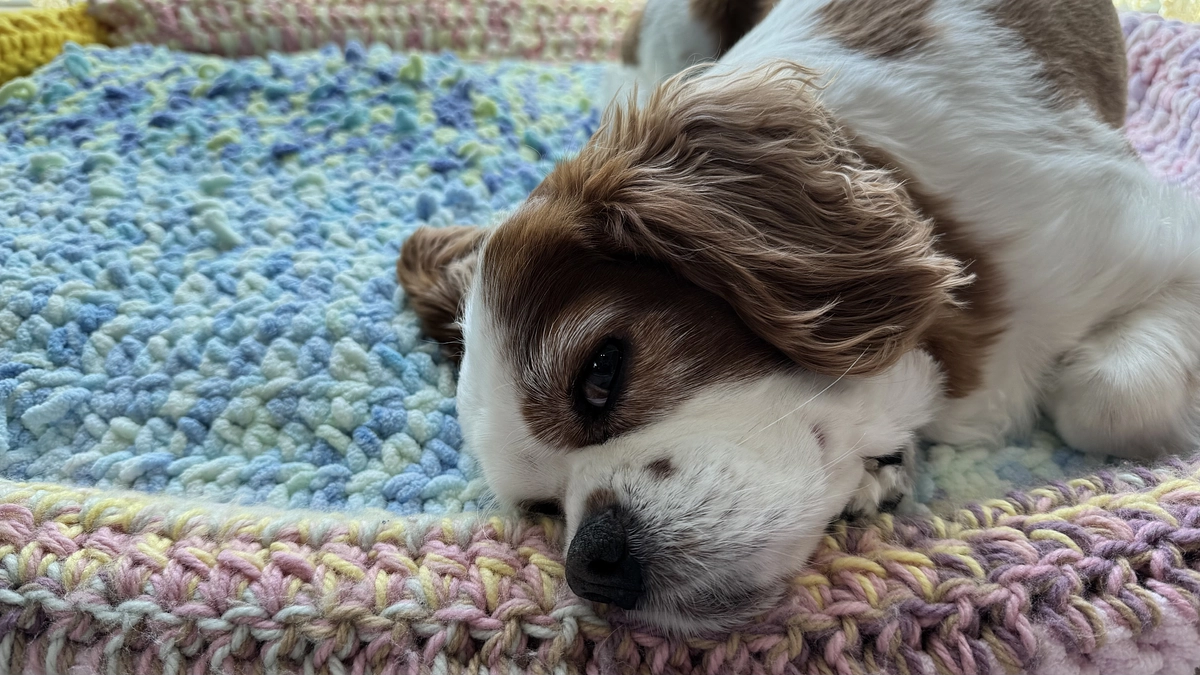 暖かいご支援ありがとうございます！【26日目】