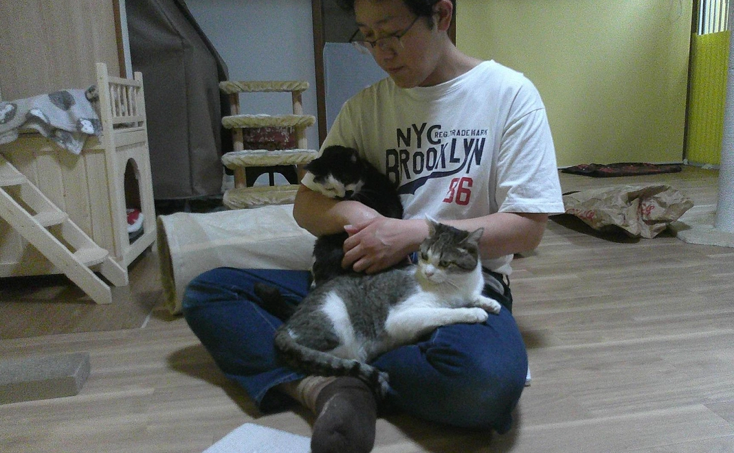 しっぽのおうち応援コース30000円（かんちょとみんにゃからサンクスメール）