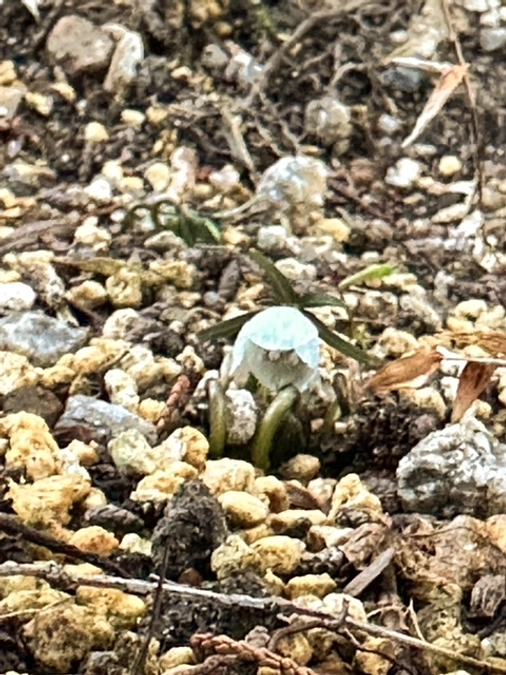 クラウドファンディングの返礼を発送しました。