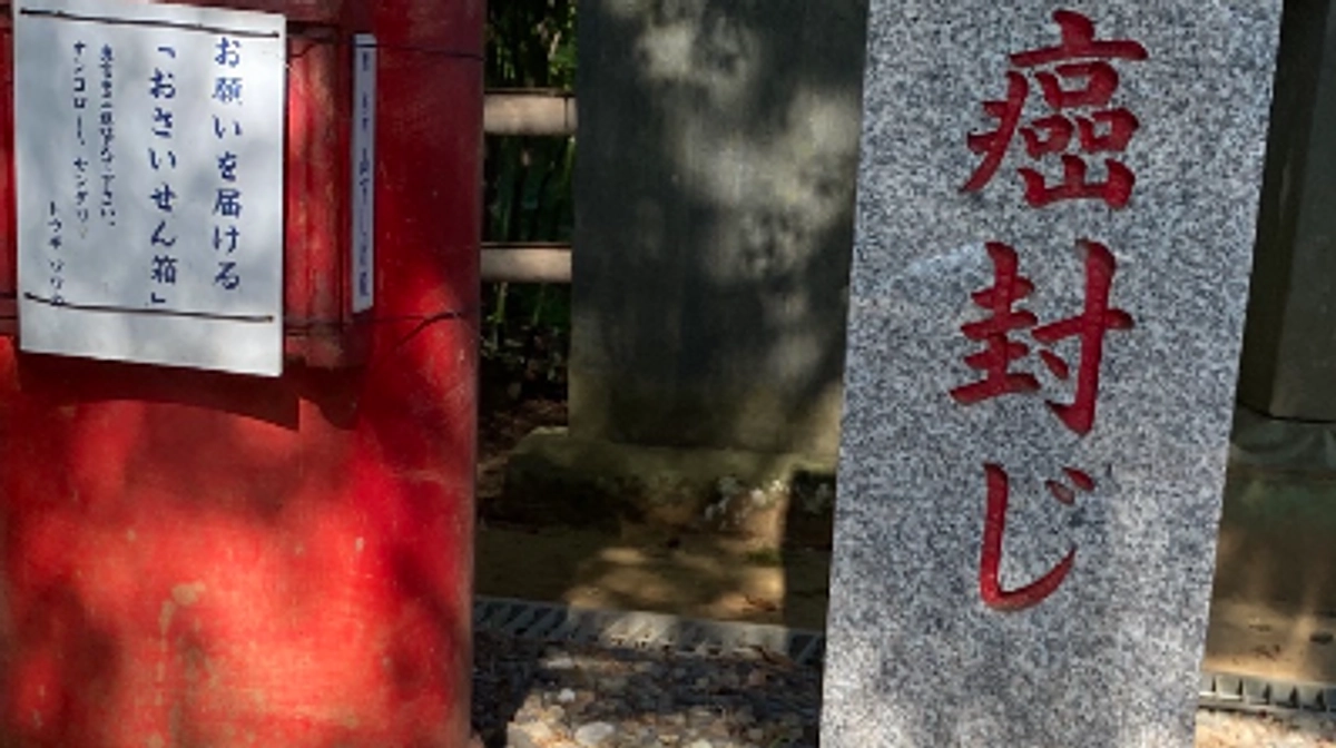 あと10日です　たくさんの勇気が出るコメントご支援有り難うございます！最後まで応援お願いします！