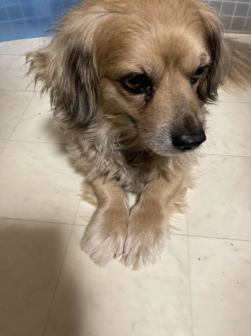 今朝は元気です