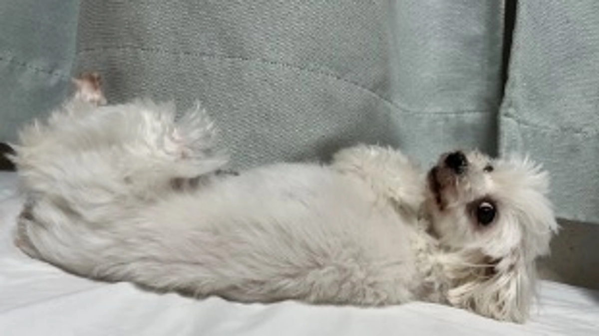 残り30日、折り返し地点です。