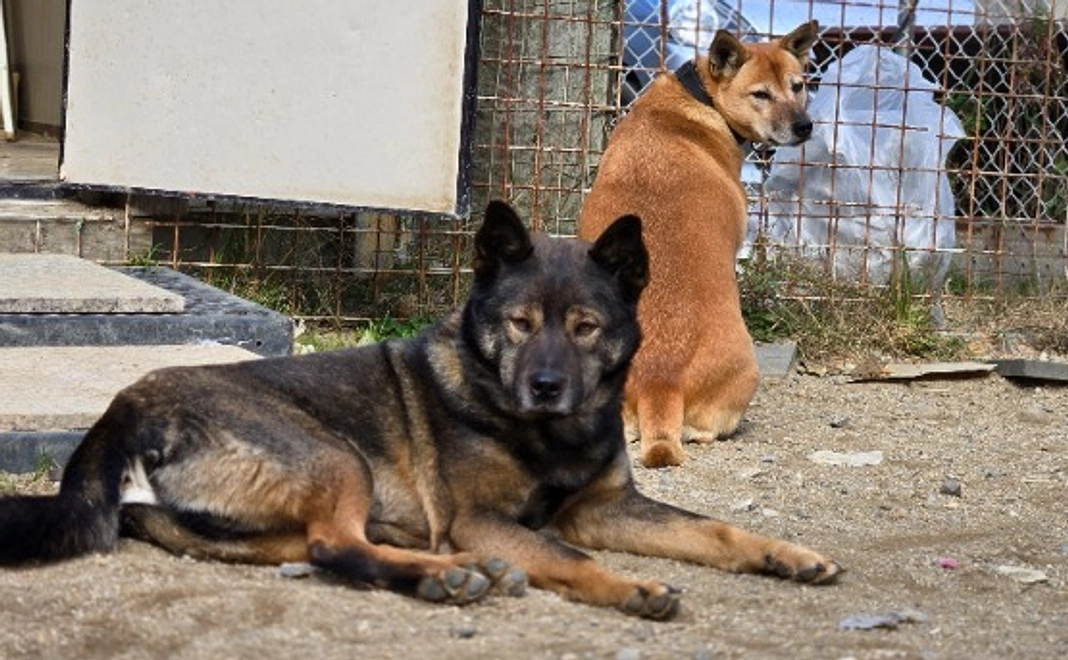 応援コース|3千円