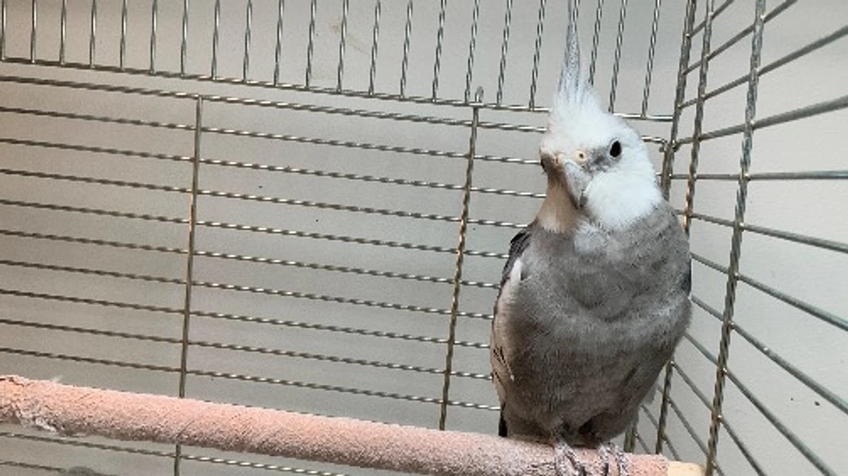 【分院報告①】分院の場所が決定しました！！