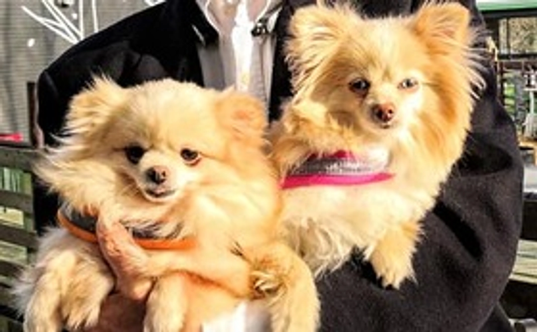 3000円　応援コース