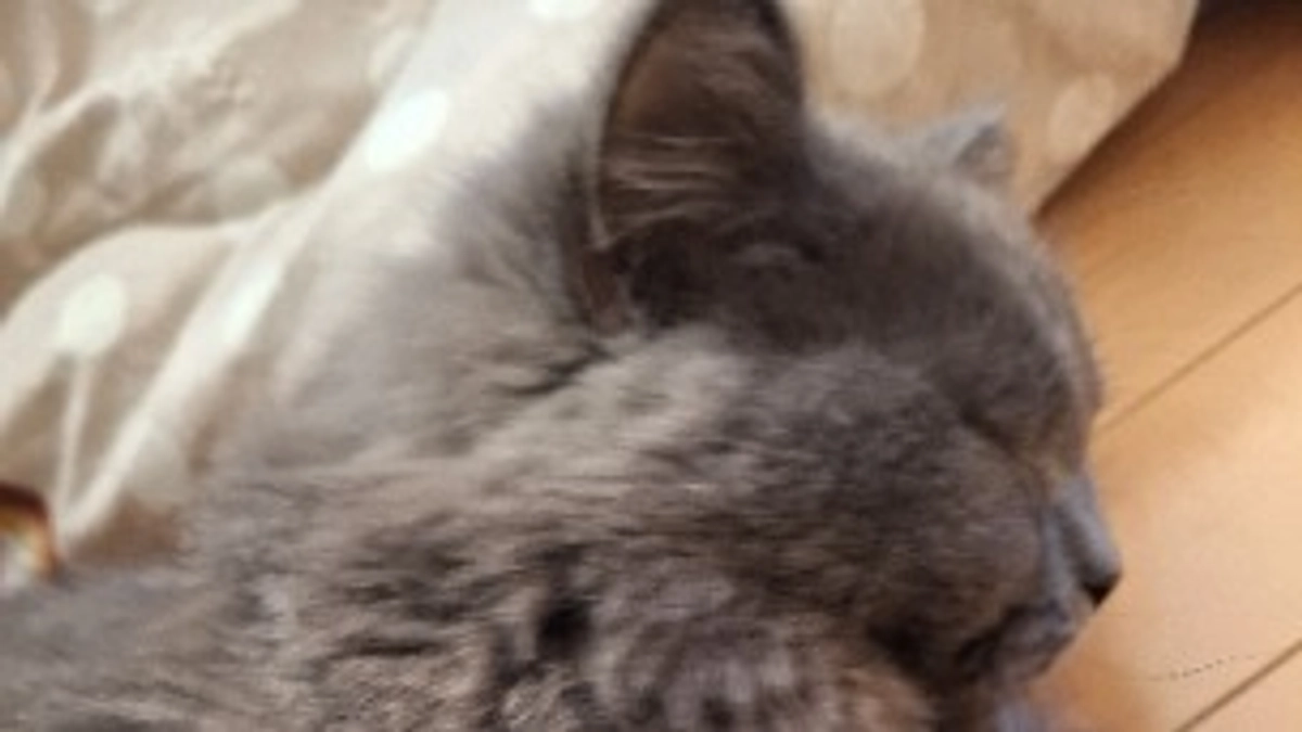 ありがとうございます☘️