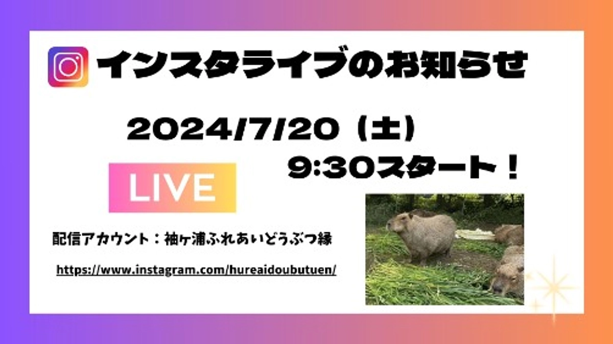 インスタライブのお知らせ　7/20(土) 9:30ごろから開始します！