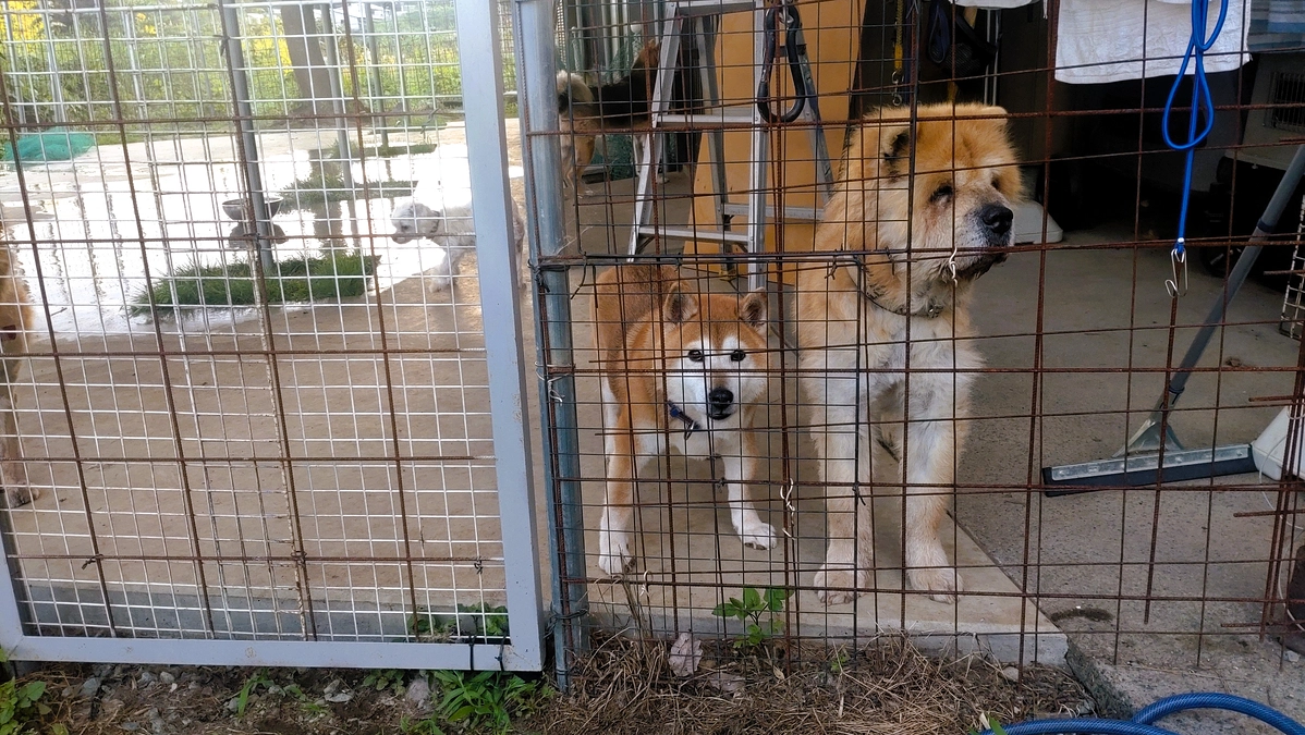 6月の収支報告です