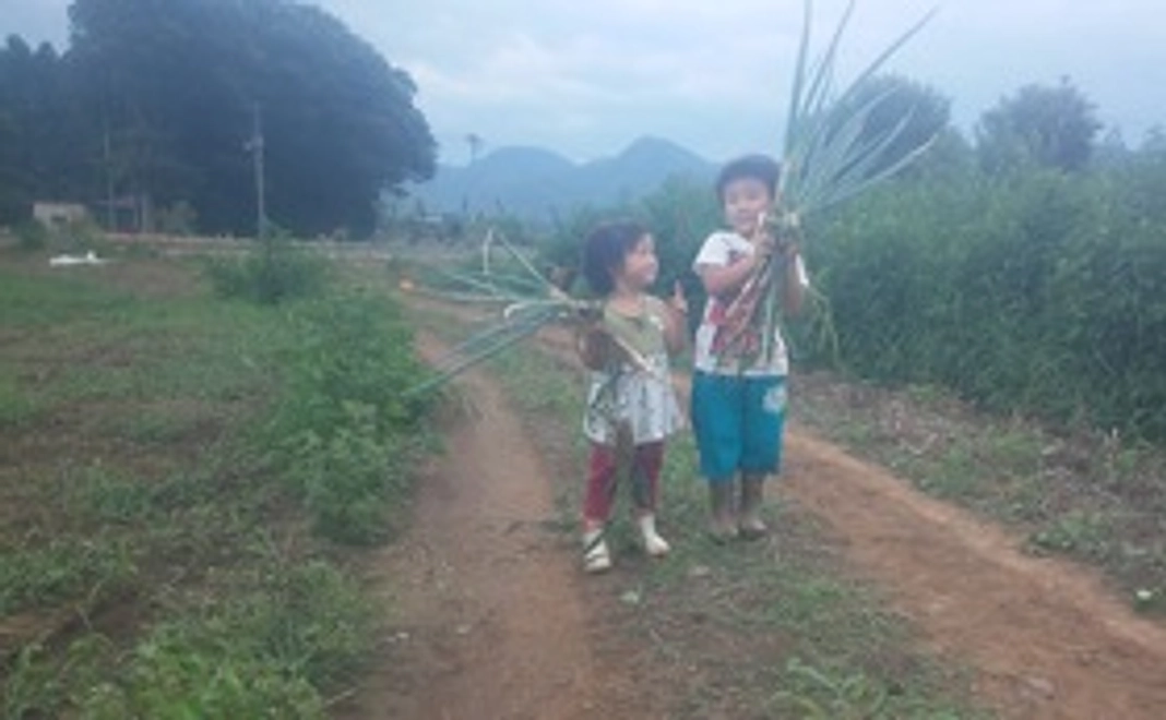 【シンプル応援プラン①】