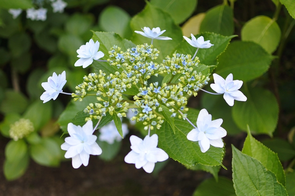 【ご報告】返礼品の送付が完了いたしました！