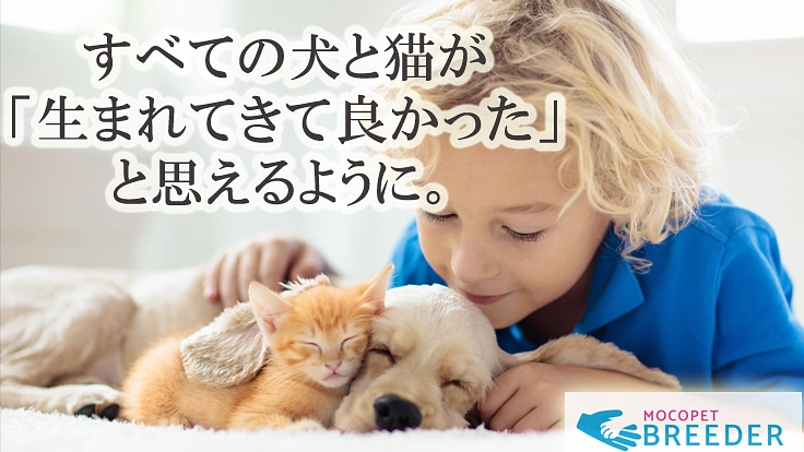 殺処分をゼロに！生まれる前にペットの予約ができるサイトを開発