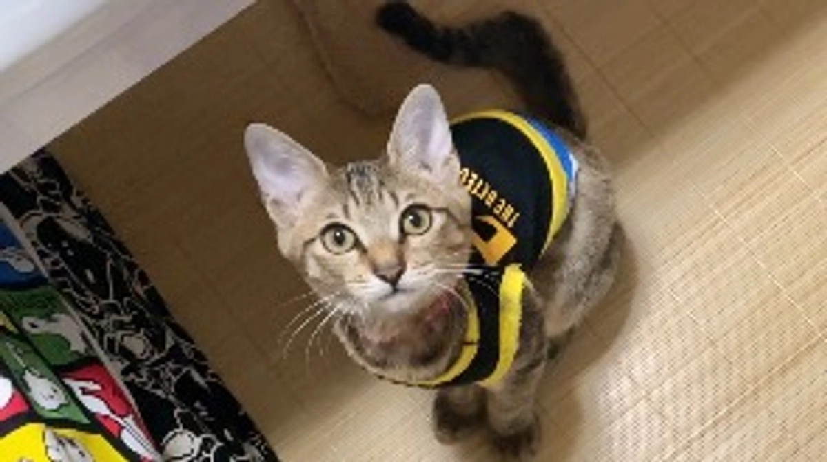 9/16(土)術後11回目の診察