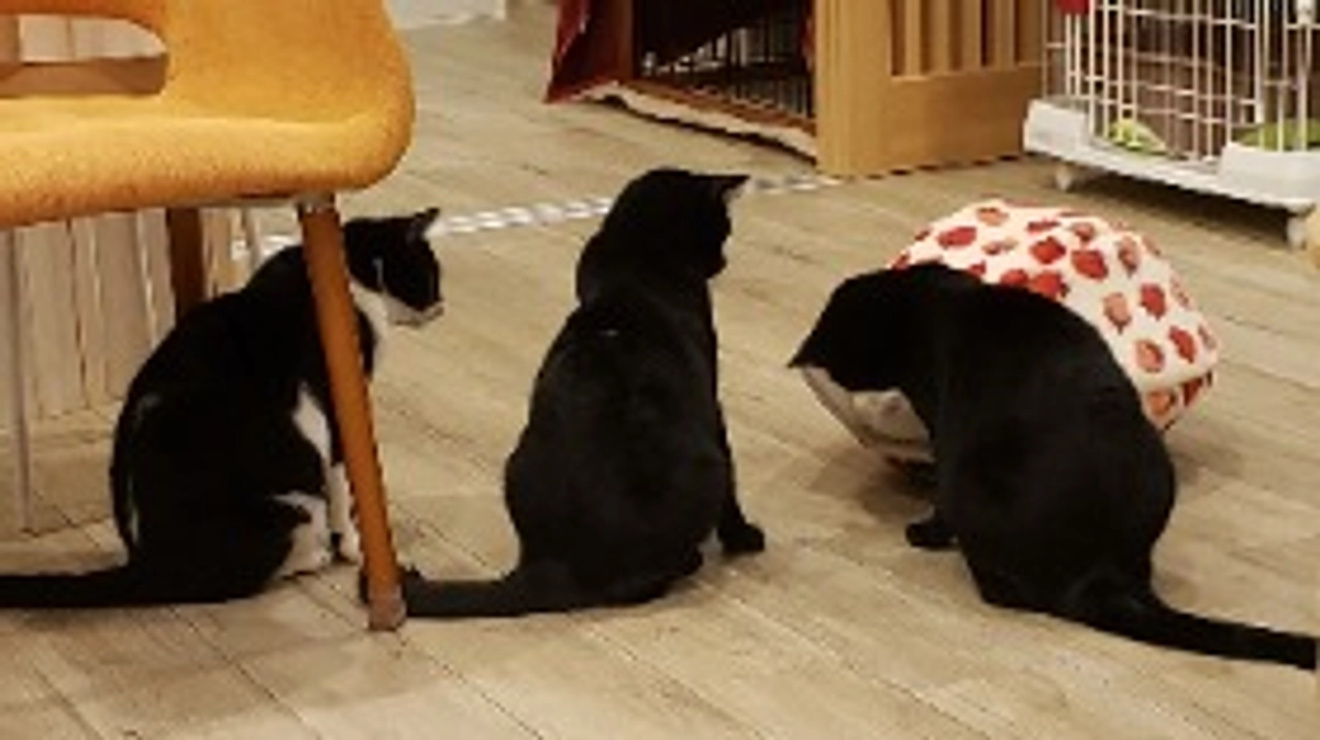 『年末のご挨拶』