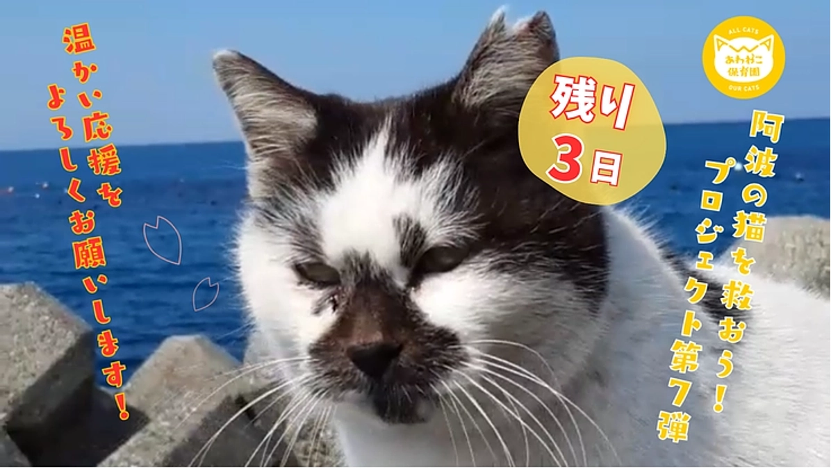 残すところ3日！　【ネクストゴールへ！】温かい応援メッセージ、ありがとうございます！