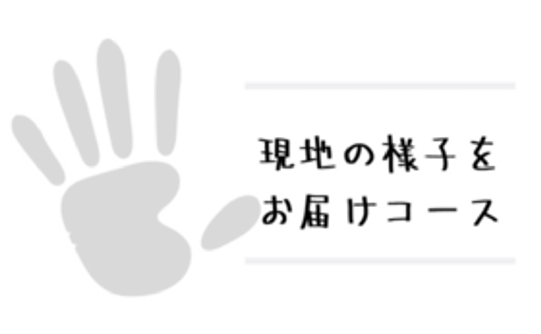 現地の様子をお届けコースA
