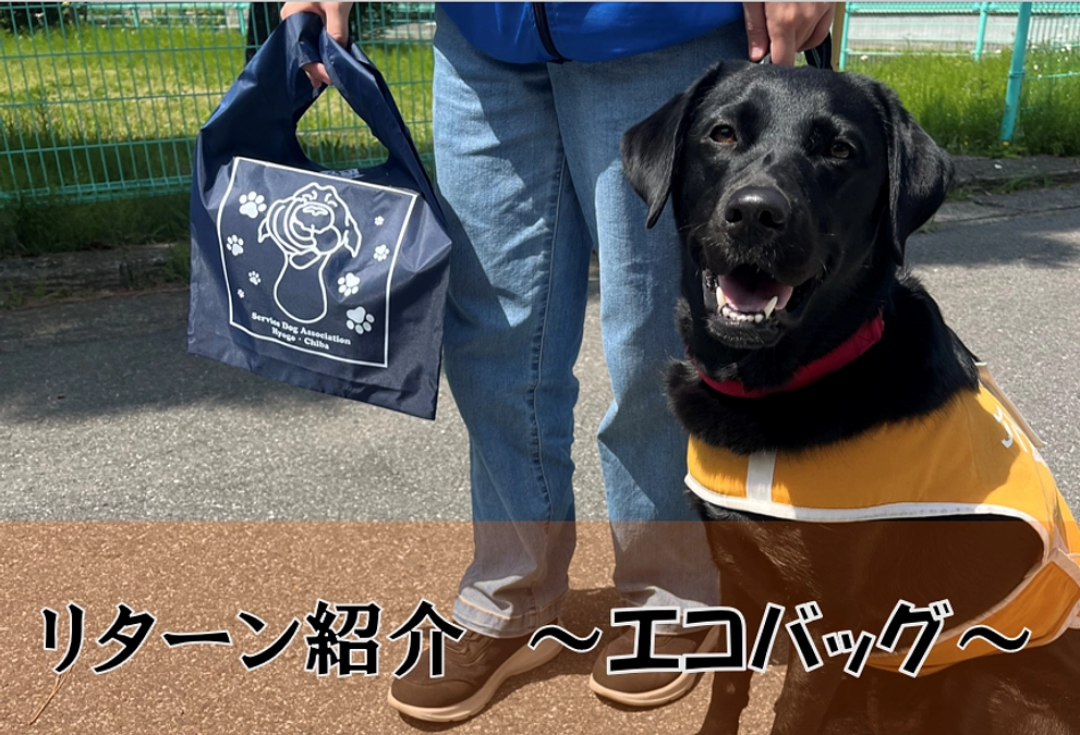 リターンの紹介をします！【エコバッグ】