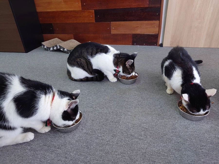 残り2万6千円で達成