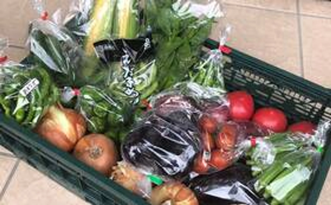 5000円コース　農家直送お野菜(大)