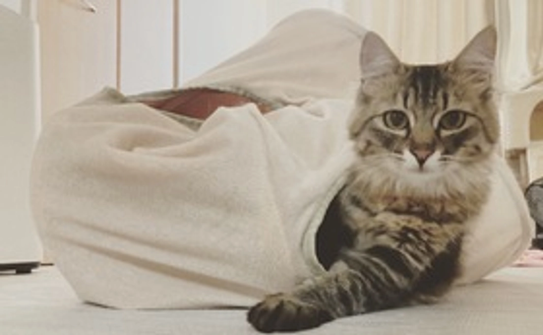 ご支援よろしくお願いします①