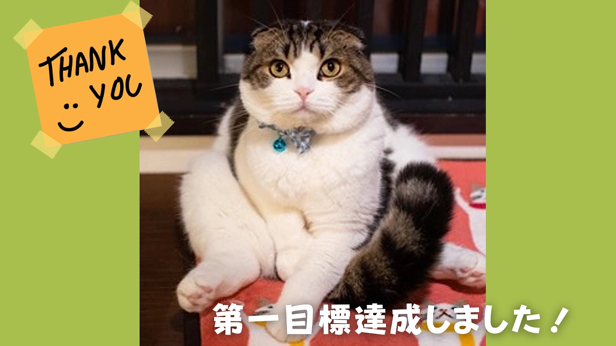 1stゴール達成できました‼