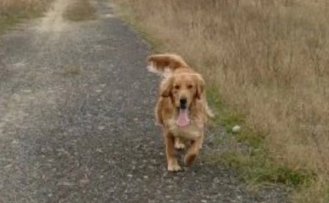 ご支援くださり、ありがとうございます。