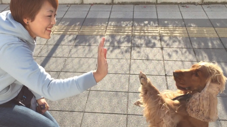 愛犬と学んだ、ほめて教えるドッグトレーニングを広めたい！