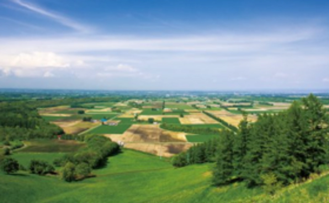 飲食した気持ちで応援!支援金2000円コース