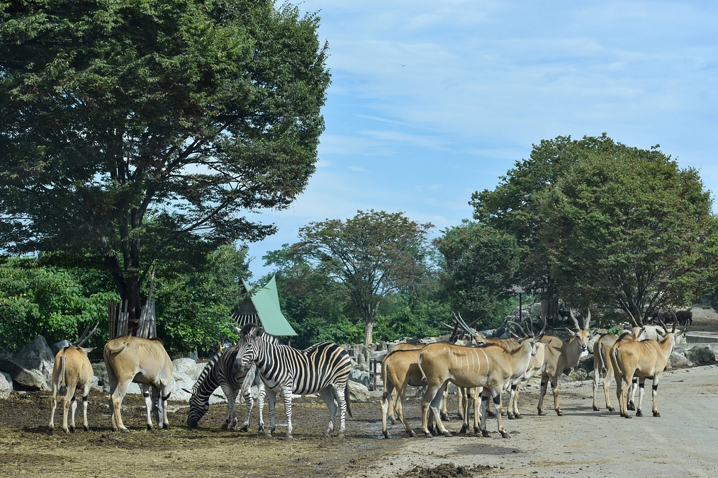 2月10日(土) 進捗報告・返礼品紹介～休園日の特別体験ツアー！～