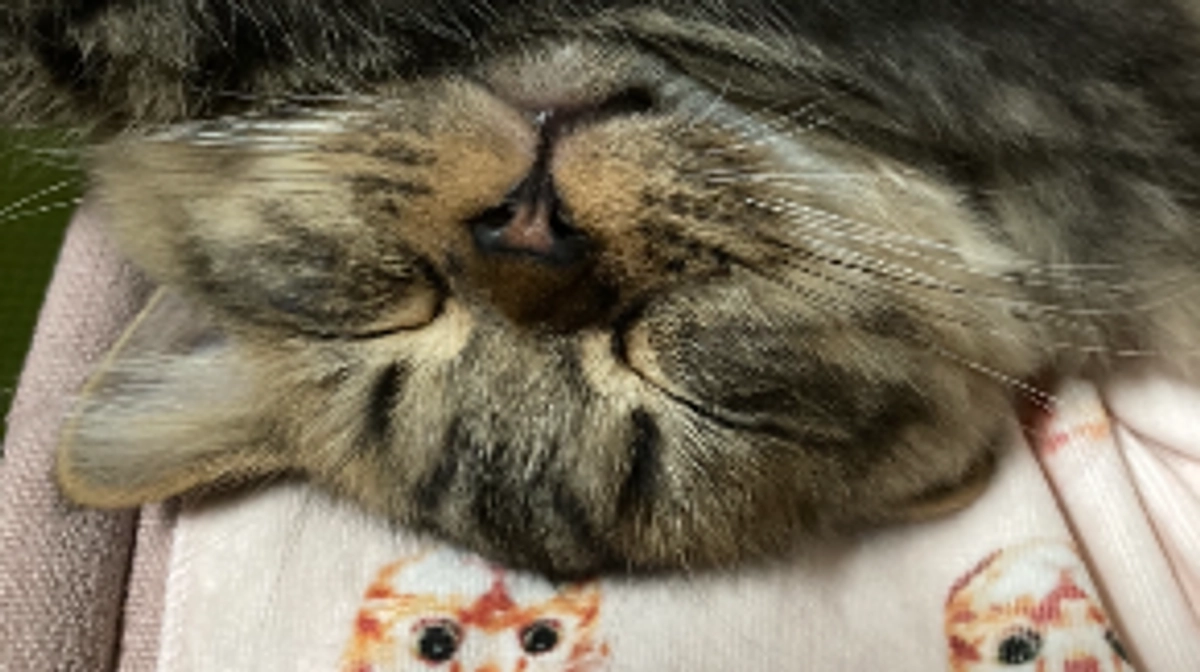 達成ありがとうございます✨