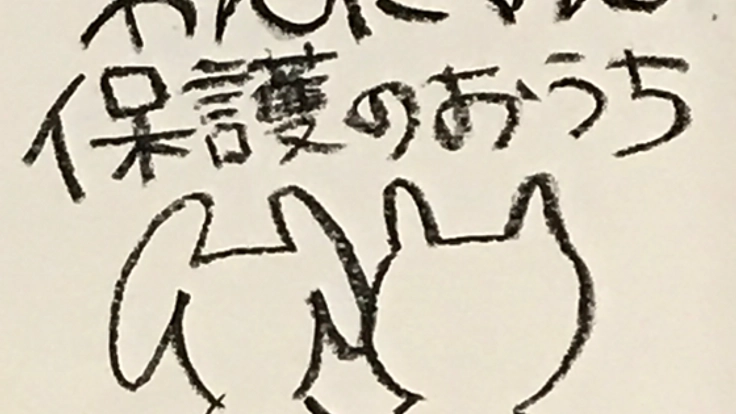 殺処分ゼロを目指して譲渡型保護犬・猫カフェを作りたい！