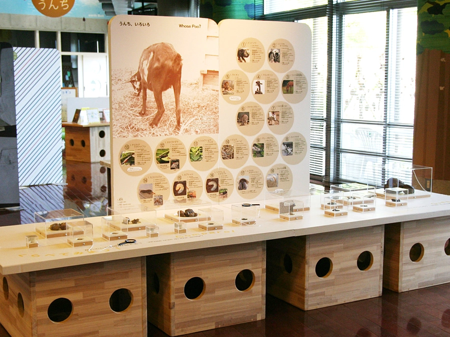 うんち標本作製が追い付かなーい【閲覧注意♪】その１