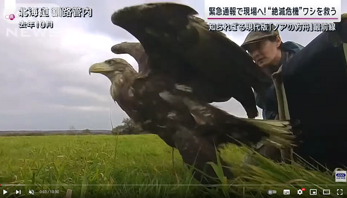 【知られざる現代版“ノアの方舟”最前線】テレビ朝日サンデーステーション