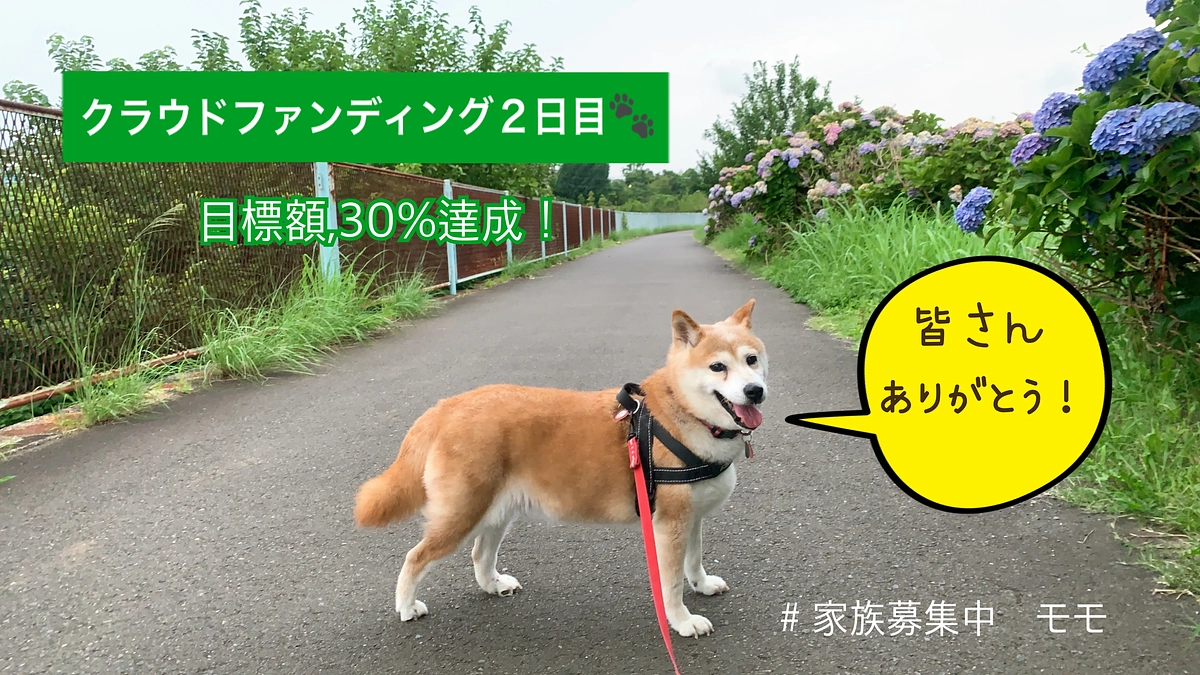 【クラウドファンディング２日目‼︎ 目標金額30%超えました！】