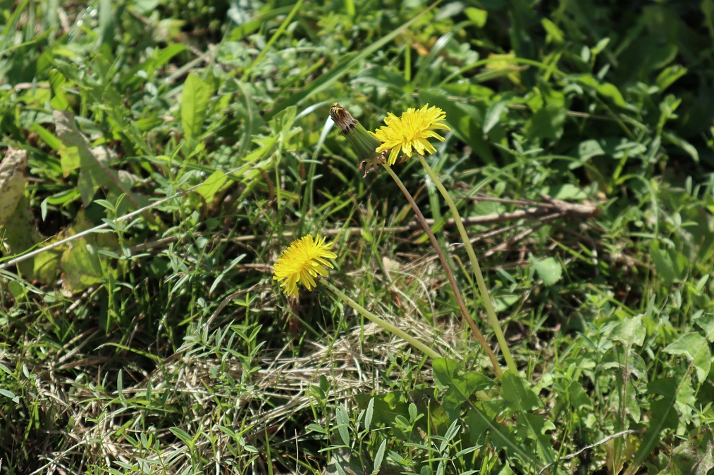 【残り４日】いただいたお声のご紹介