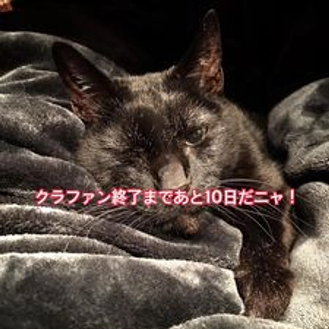 プロジェクト終了まで残り10日！