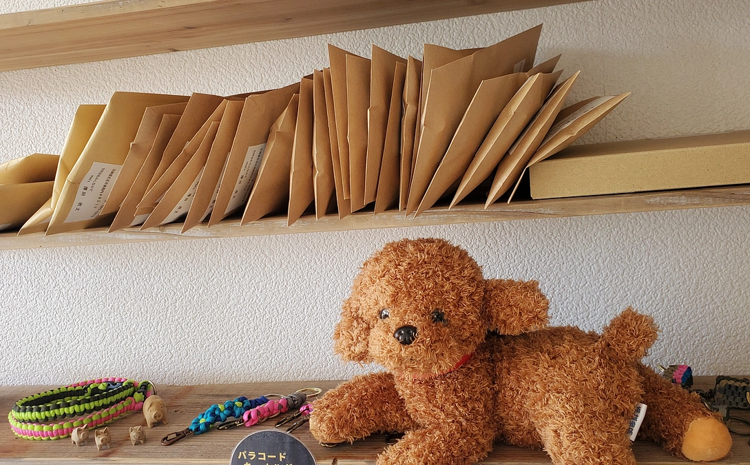 発送の準備が整いましたー！