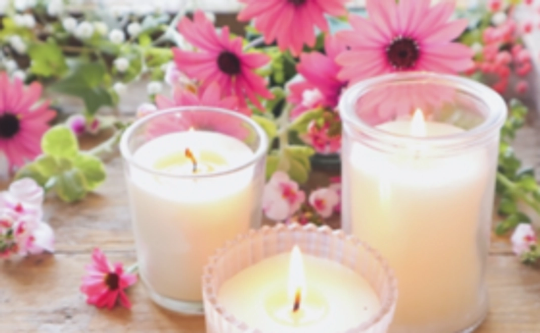 応援5000円コース