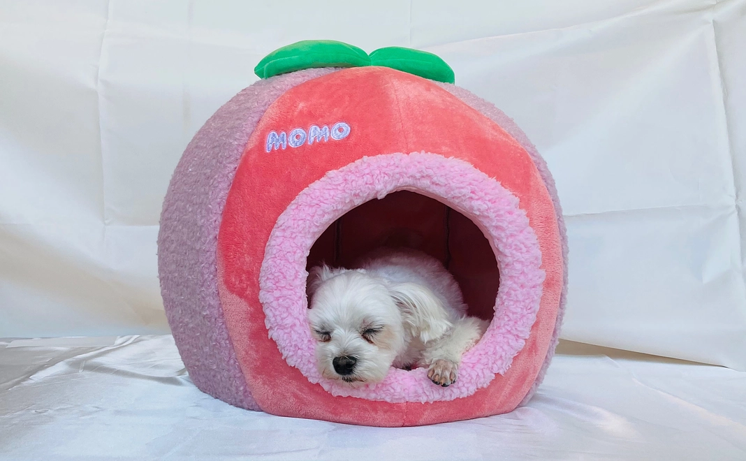 感謝のメール&活動報告 3000円