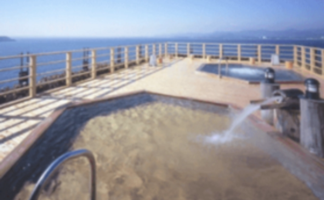 舘山寺温泉　ご入浴券