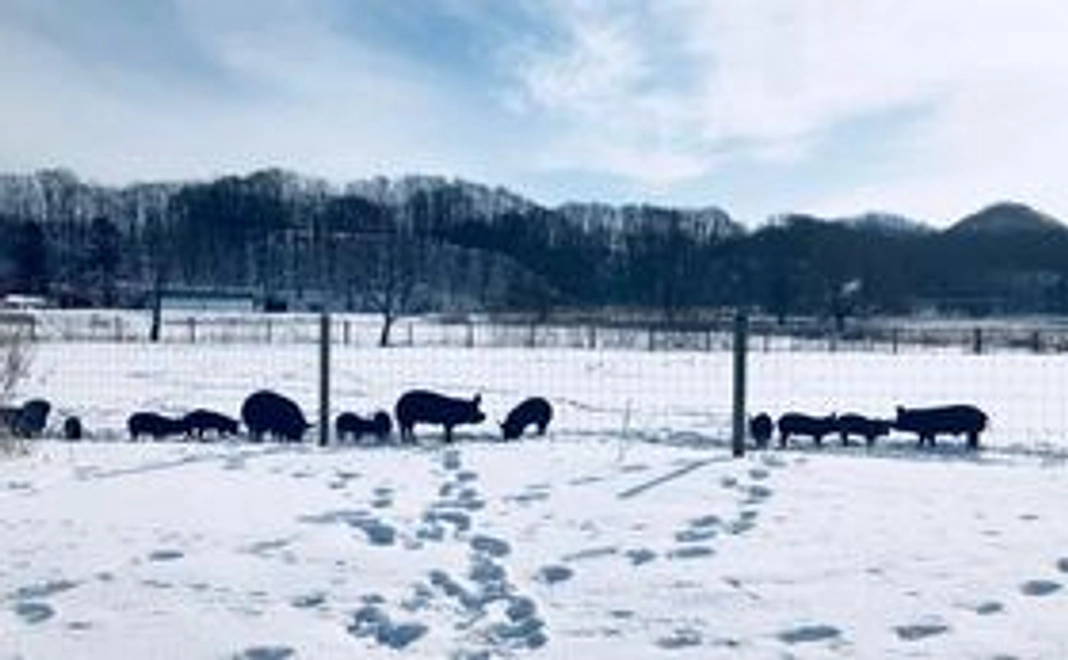 バーチャルFARMツアー(インターネットライブ配信)/ Virtual FARM TOUR (online live)