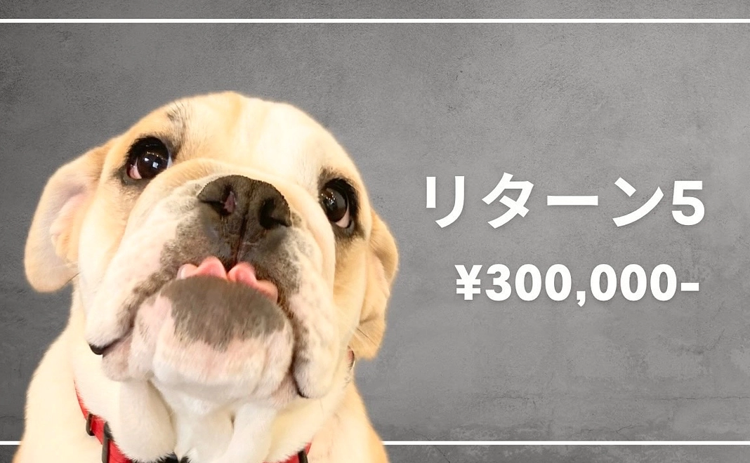 ぶるほむチケット¥50,000付きプラン（限定3組）