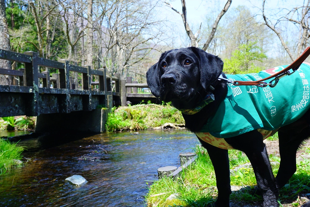 80％を超えることが出来ました。