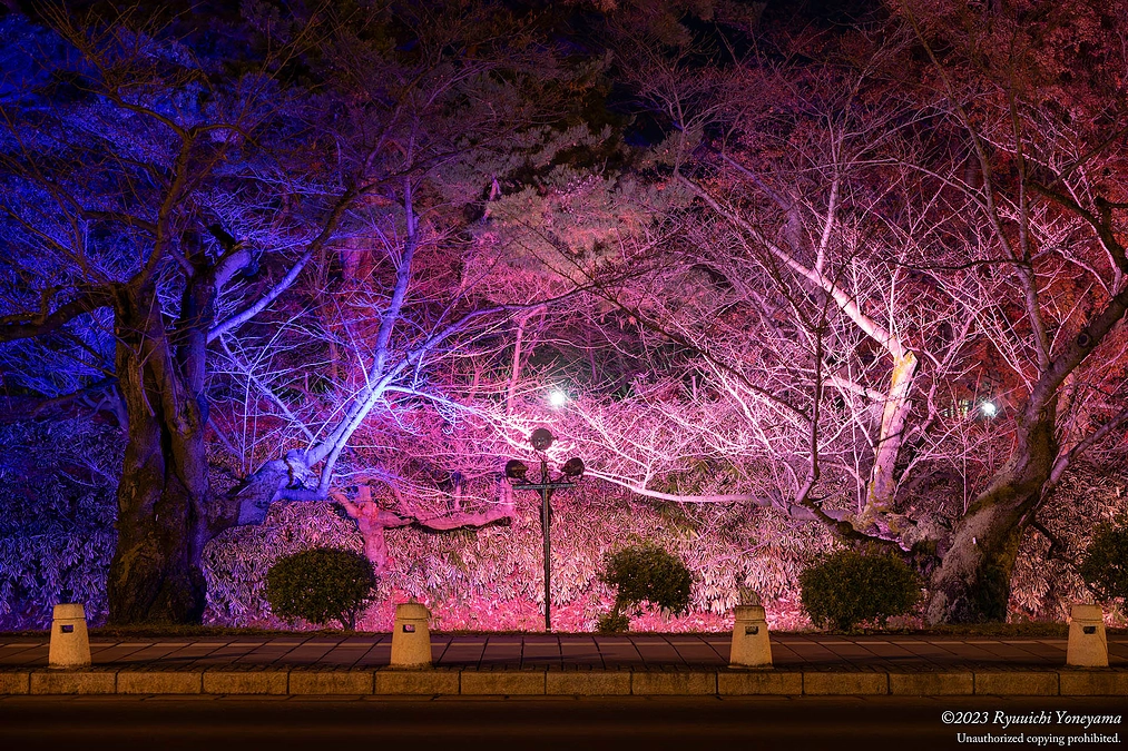 雪はありませんが水鏡が楽しめます！
